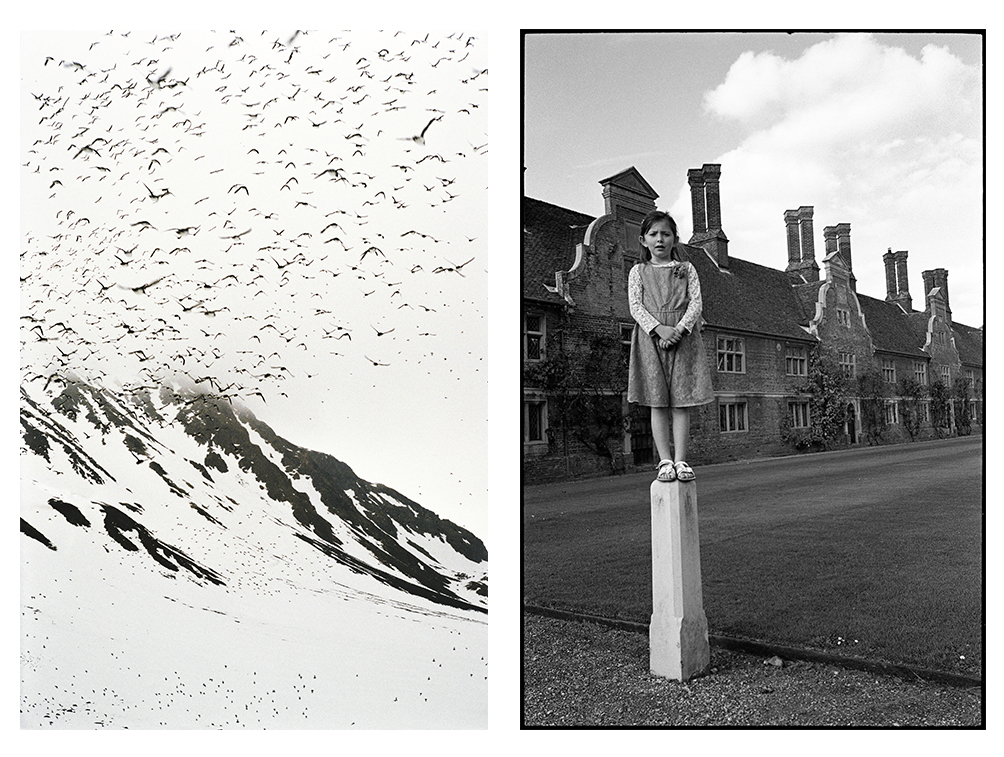 New on Artimage: Paul Cooklin and Gautier Deblonde