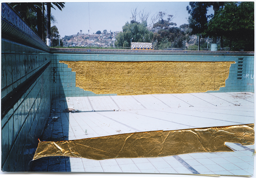 Chrematis 1994 Installation View Agua Caliente Tijuana Mexico Anya Gallaccio