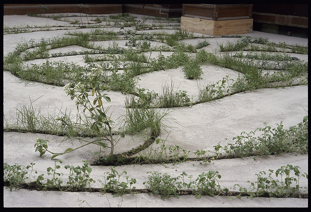 Glaschu 1999 Installation View Lanarkshire House Glasgow Anya Gallaccio