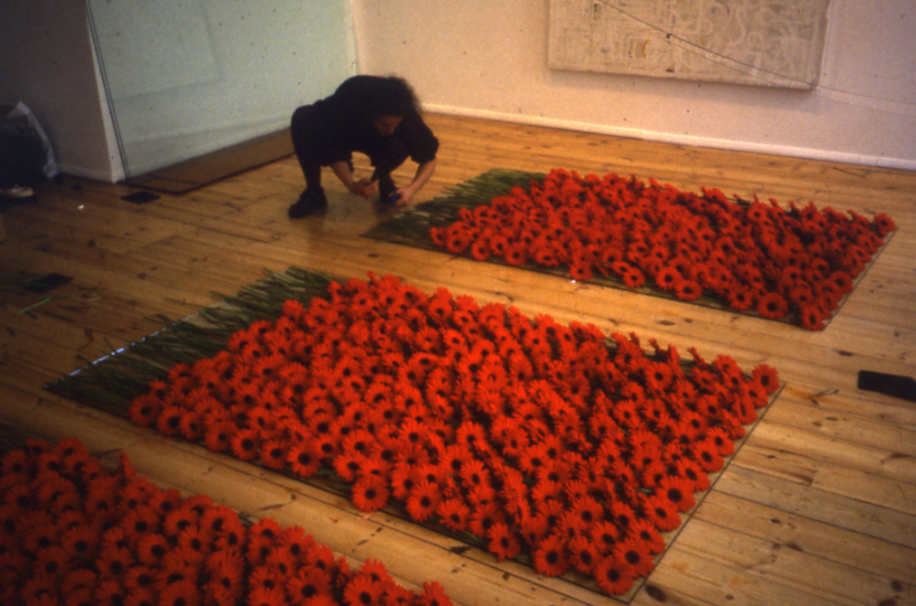 Preserve Beauty 1991 Installation View Karsten Schubert London Anya Gallaccio