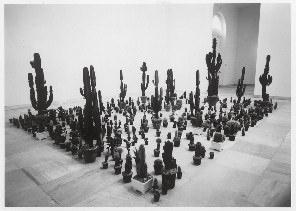 Spike 1991 Installation View Palacio De Velázquez Madrid Anya Gallaccio