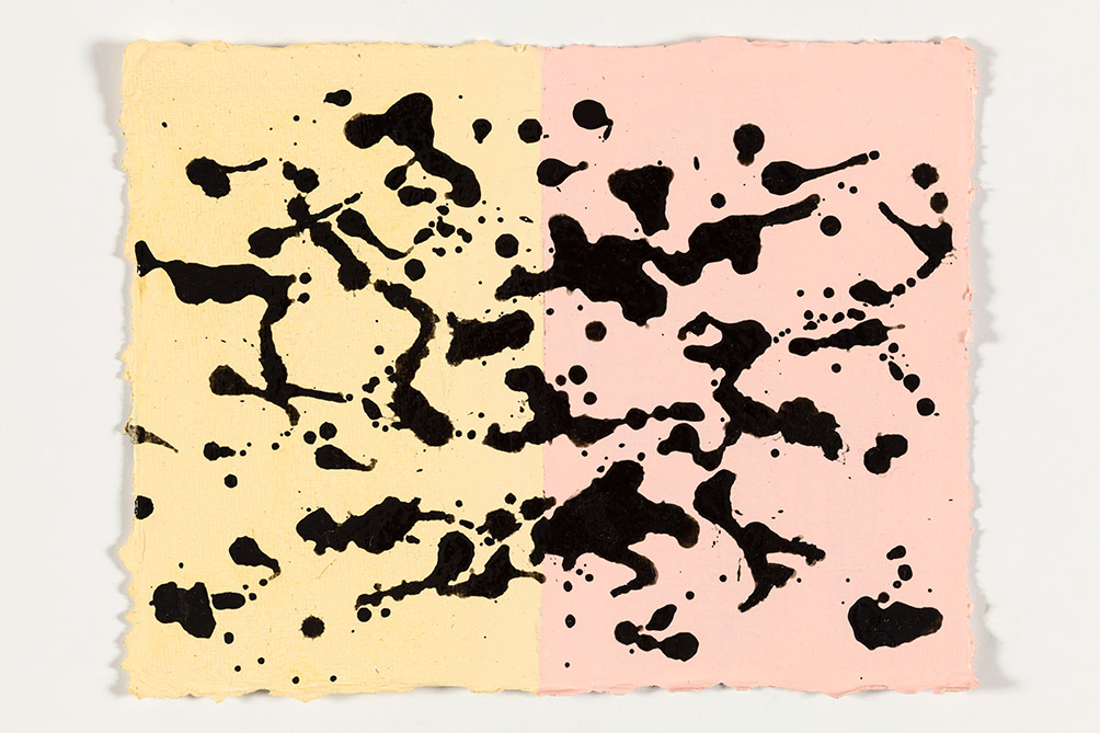 Shadow V 2013 Julie Umerle