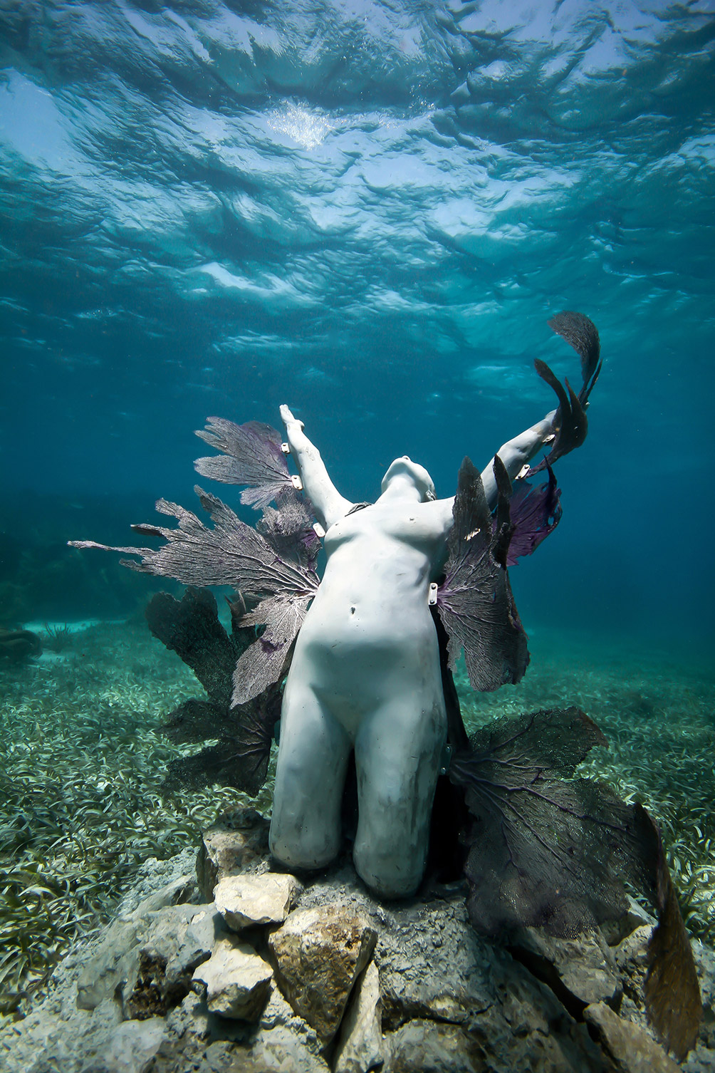 The Phoenix 2012 Jason Decaires Taylor